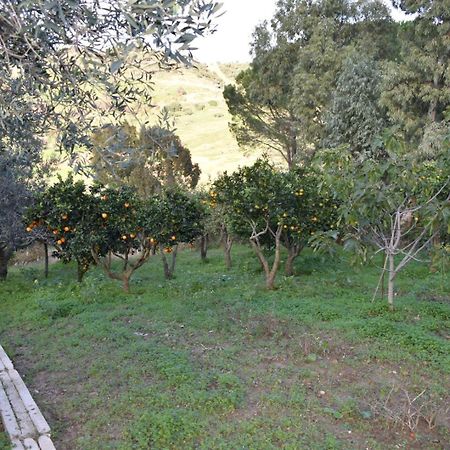 Appartement La Casetta Nel Bosco à Calatafimi-Segesta Extérieur photo