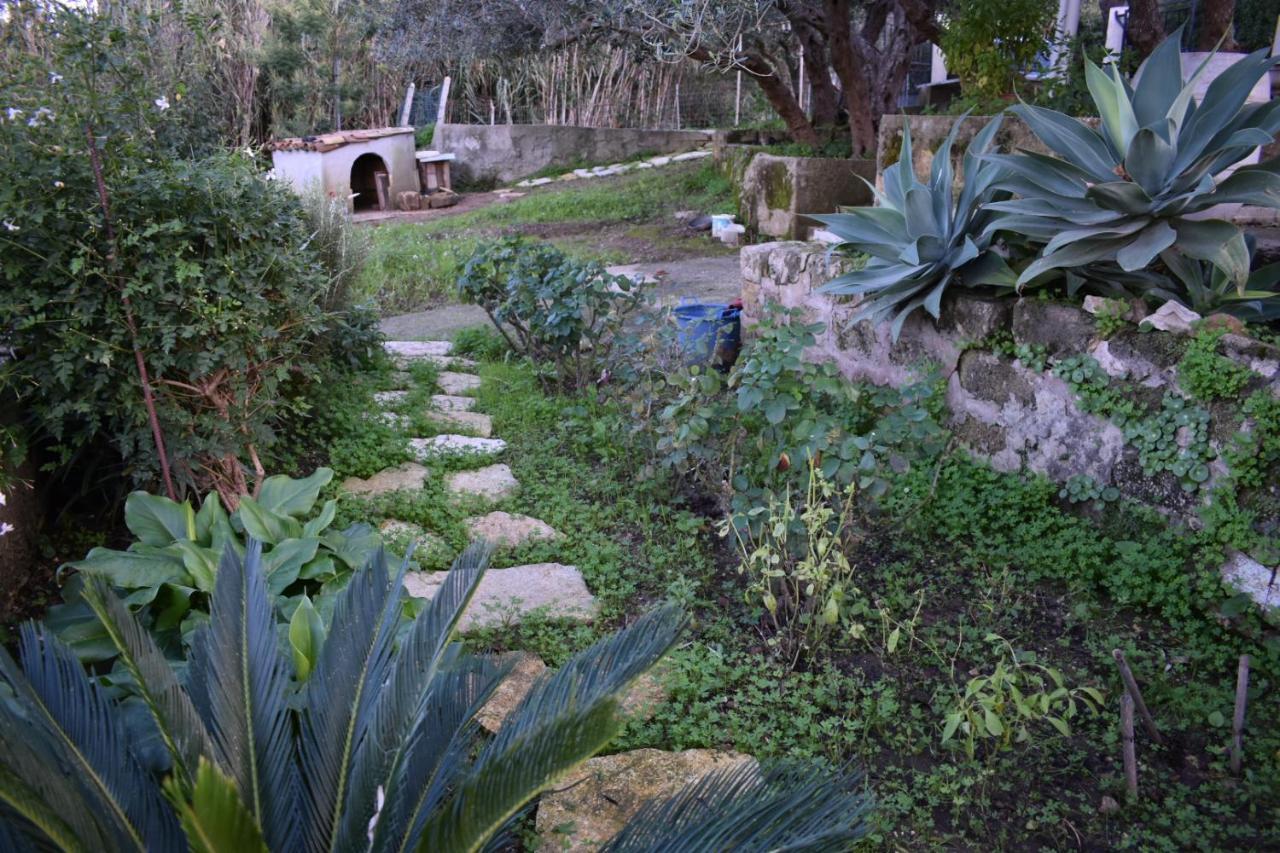 Appartement La Casetta Nel Bosco à Calatafimi-Segesta Extérieur photo