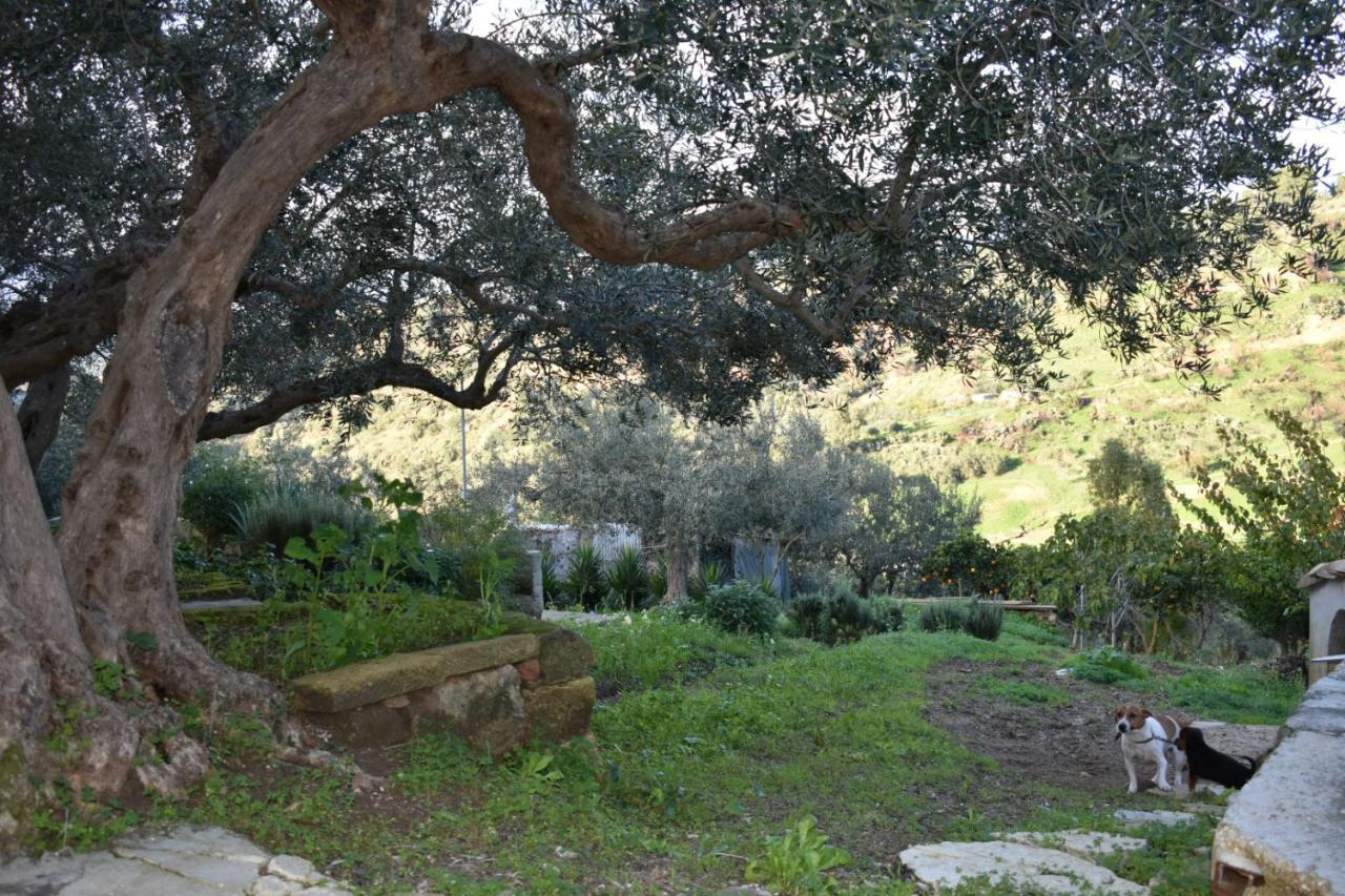 Appartement La Casetta Nel Bosco à Calatafimi-Segesta Extérieur photo