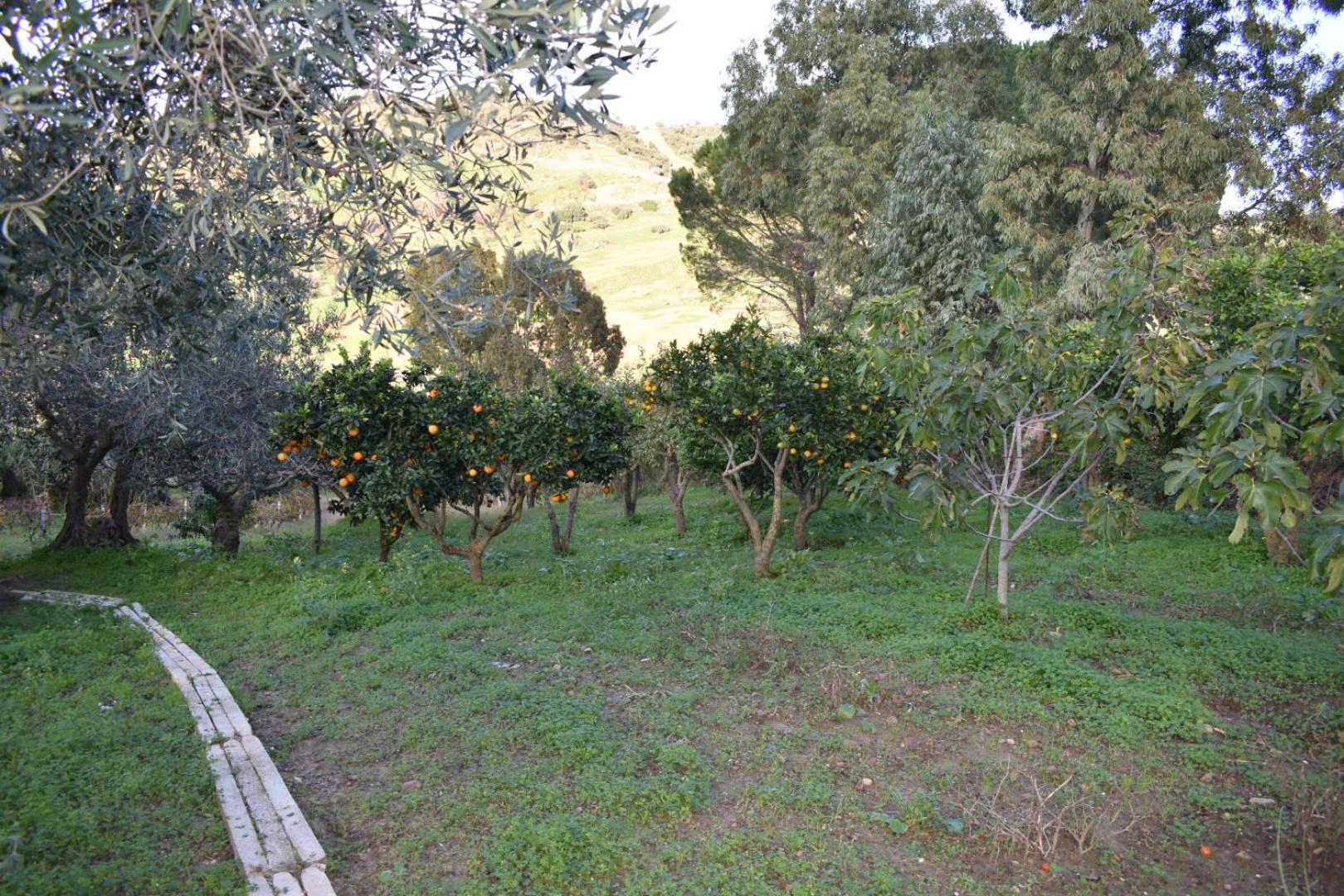 Appartement La Casetta Nel Bosco à Calatafimi-Segesta Extérieur photo