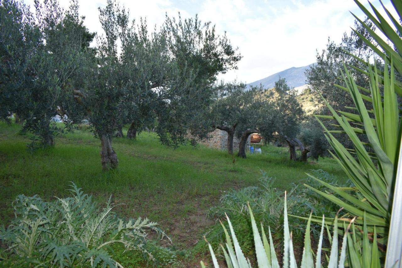 Appartement La Casetta Nel Bosco à Calatafimi-Segesta Extérieur photo