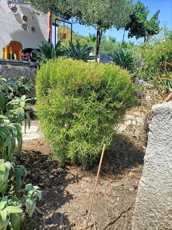 Appartement La Casetta Nel Bosco à Calatafimi-Segesta Extérieur photo