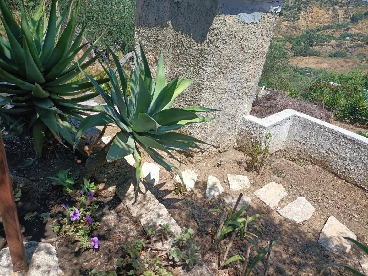 Appartement La Casetta Nel Bosco à Calatafimi-Segesta Extérieur photo